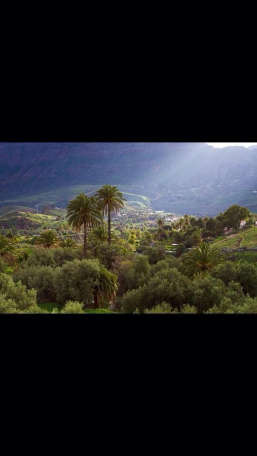 فيلا La Casa De Tea Santa Lucia المظهر الخارجي الصورة